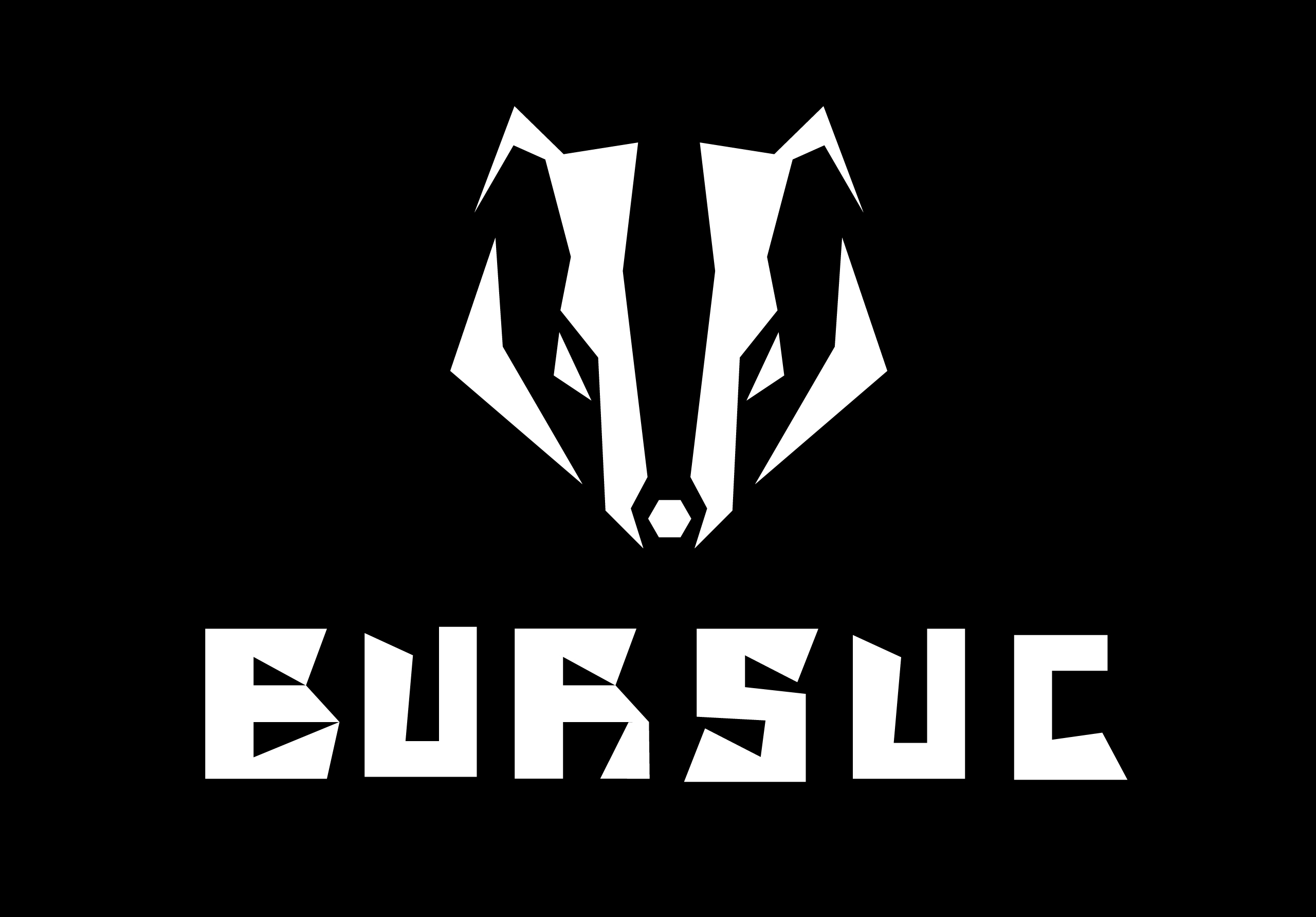 bursuc